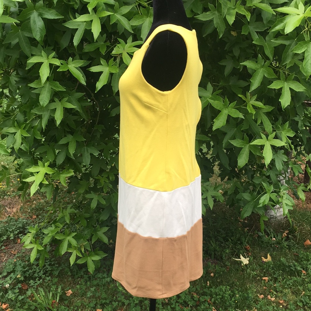 Massimo Dutti Vintage Sleeveless Dress - Picture 3 of 8